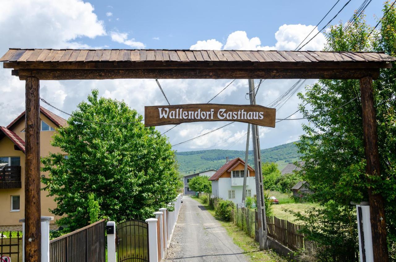 Casa De Oaspeti Wallendorf Bistrita Unirea Ngoại thất bức ảnh