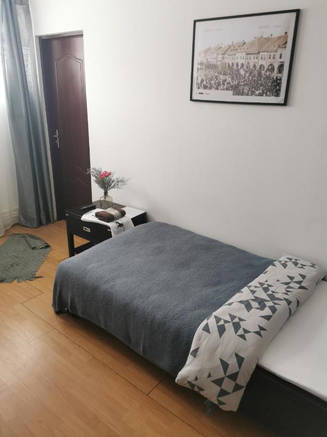 Casa De Oaspeti Wallendorf Bistrita Unirea Ngoại thất bức ảnh