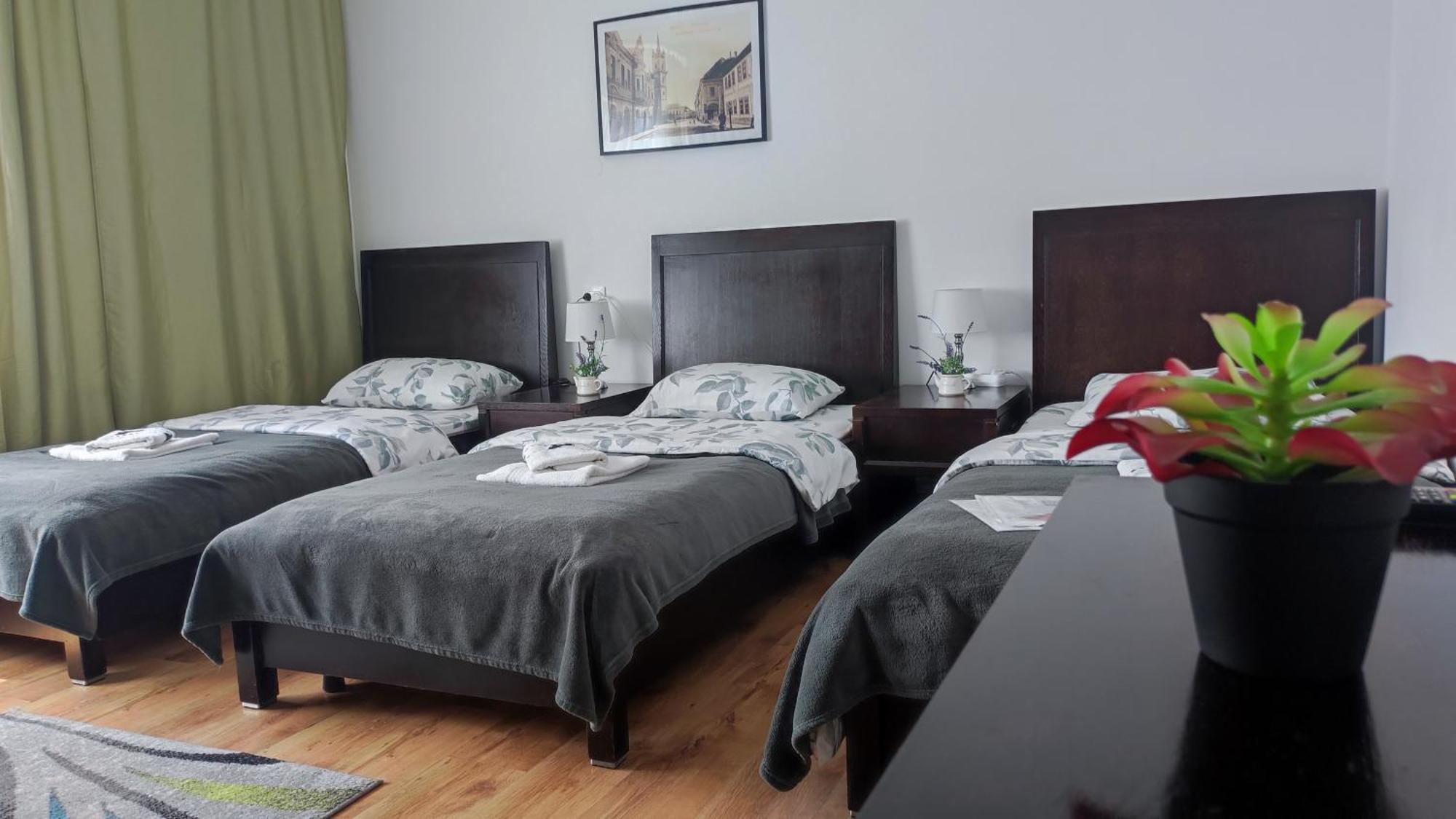 Casa De Oaspeti Wallendorf Bistrita Unirea Phòng bức ảnh